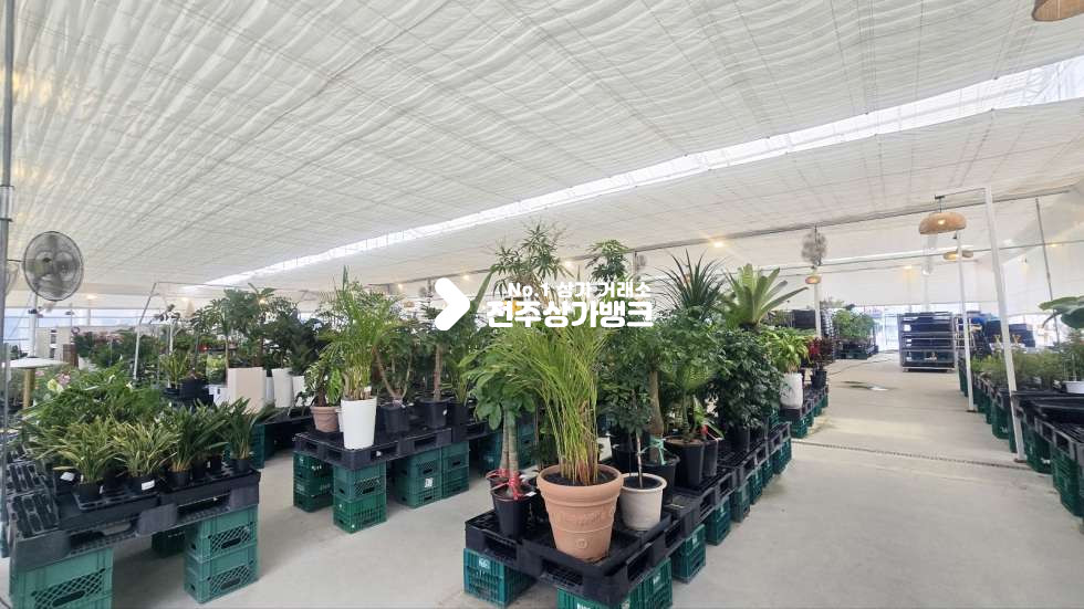 전북 전주완산구 효자동3가 효자동3가 귀한 단독 카페상가 , 시설집기일체,가격협의가능 월세 매물번호 17338 사진 19