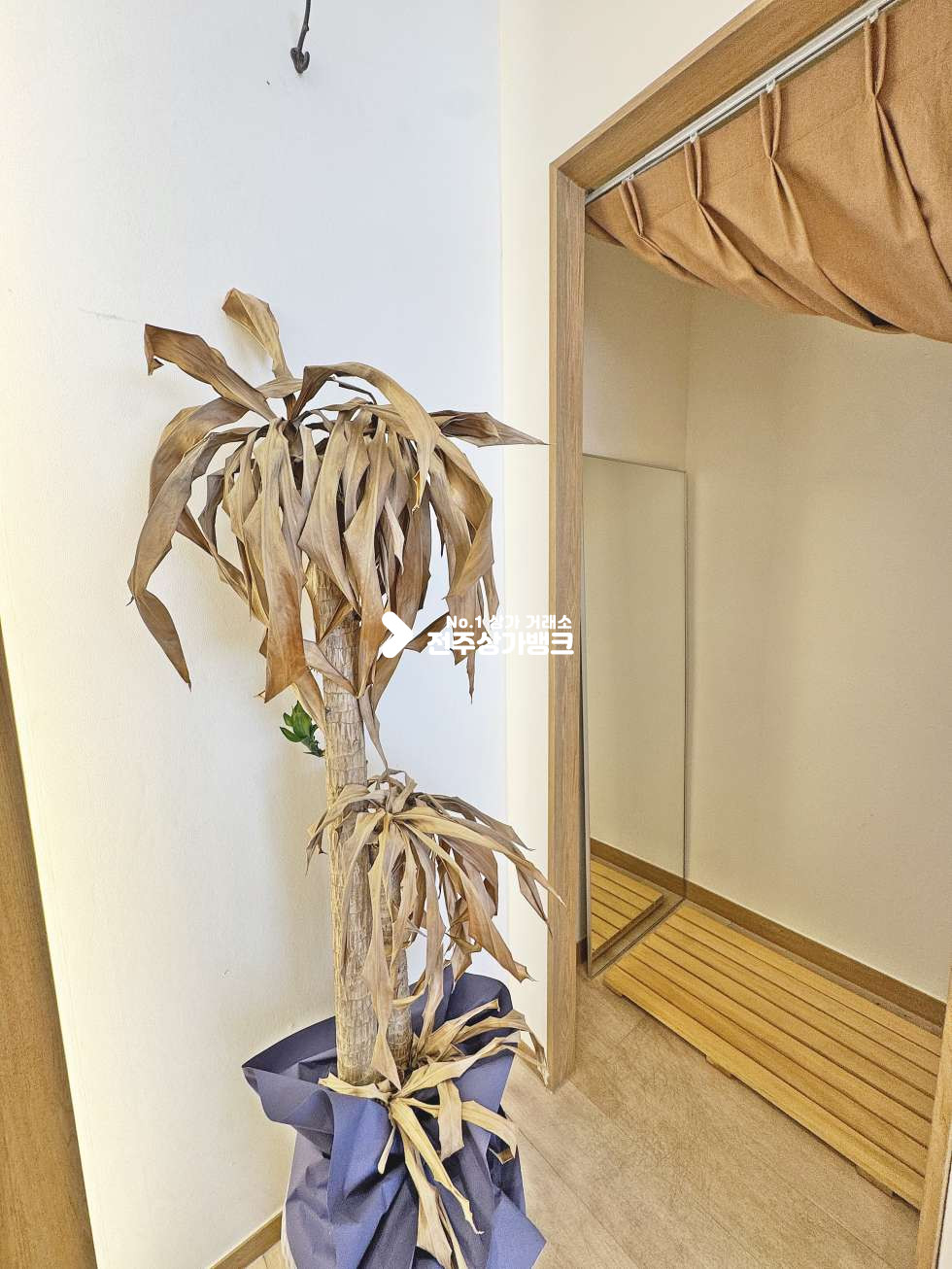 전북 전주완산구 효자동3가 문학초 인근 인테리어 완벽한 상가 나왔습니다 월세 매물번호 17611 사진 7