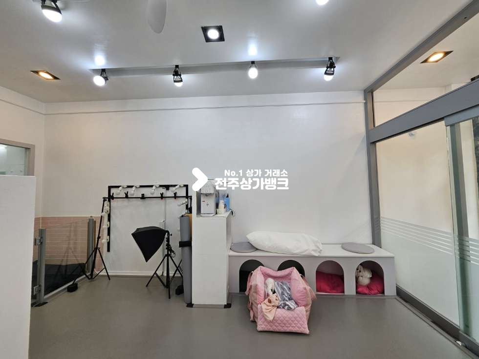 전북 전주완산구 효자동3가 A 효자동 애견샵 양수 하실분/시설 장비 일체 월세 매물번호 13430 사진 5