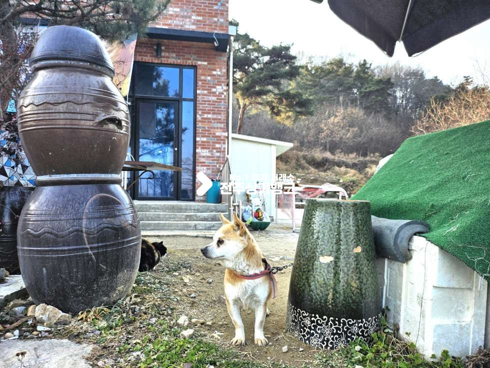 전북 김제시 금구면 대화리 박물관에 10분거리//저수지 조망 테라스//업종무관 월세 매물번호 13597 사진 13