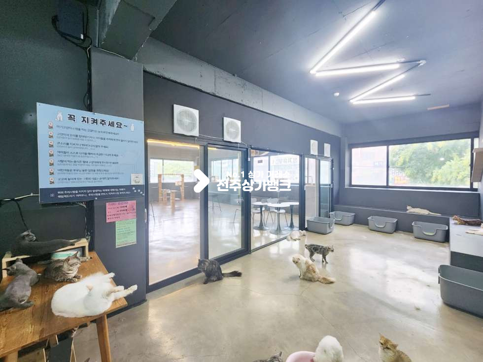 전북 전주덕진구 인후동1가 인후동 고양이 까페 무권리금 양도양수 , 펫샵등으로 강력추천 월세 매물번호 14921 사진 1